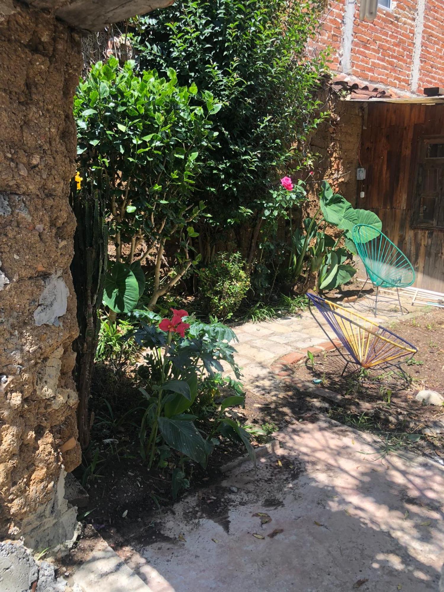 Hostal Casa Gaia San Cristobal de las Casas Bagian luar foto