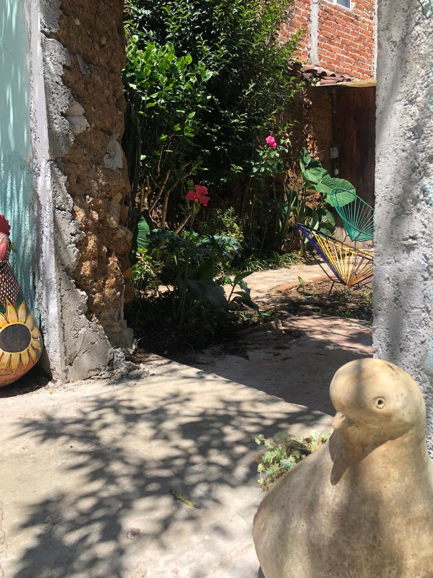 Hostal Casa Gaia San Cristobal de las Casas Bagian luar foto